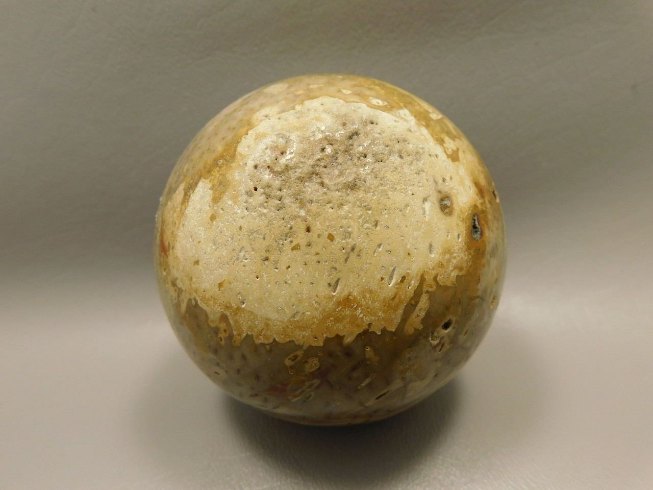 Petrified Palm Wood Sphere 3.15 inch Fossil Indonesia #O21