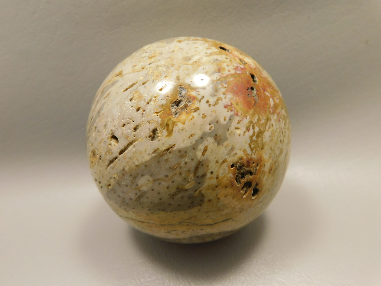Petrified Palm Wood Sphere 3.15 inch Fossil Indonesia #O21