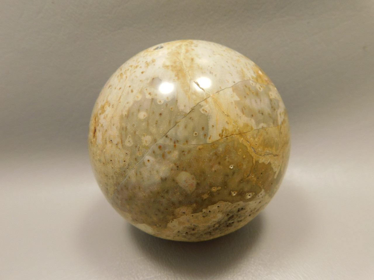Petrified Palm Wood Sphere 3.15 inch Fossil Indonesia #O21