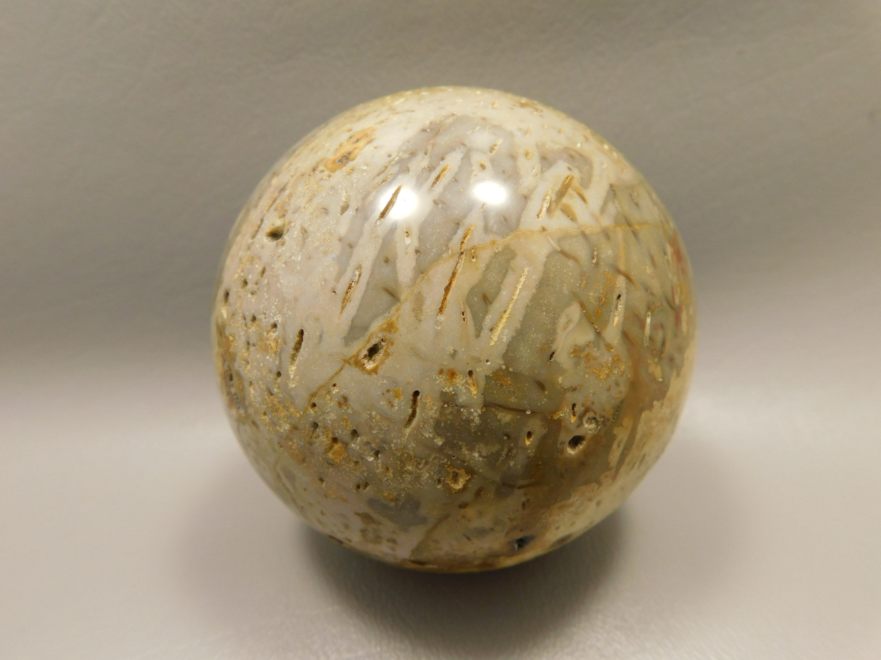 Petrified Palm Wood Sphere 3.15 inch Fossil Indonesia #O21