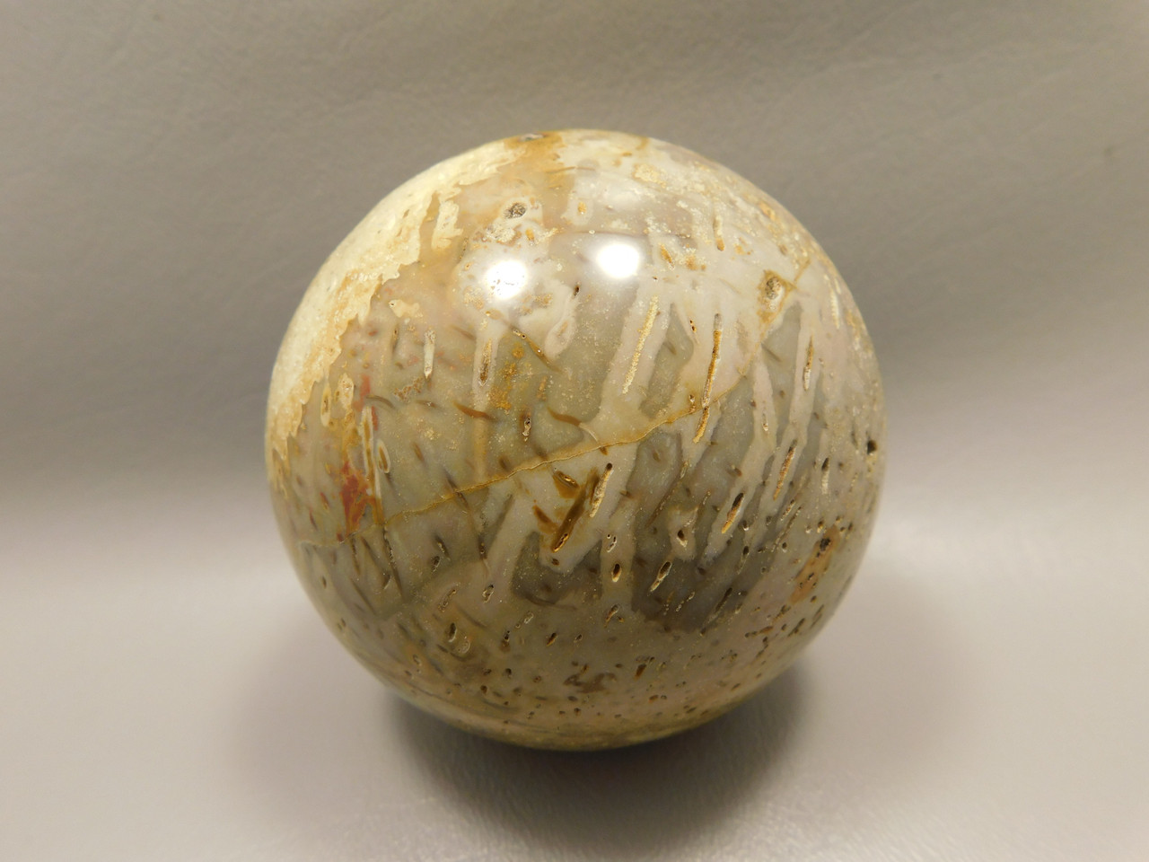 Petrified Palm Wood Sphere 3.15 inch Fossil Indonesia #O21