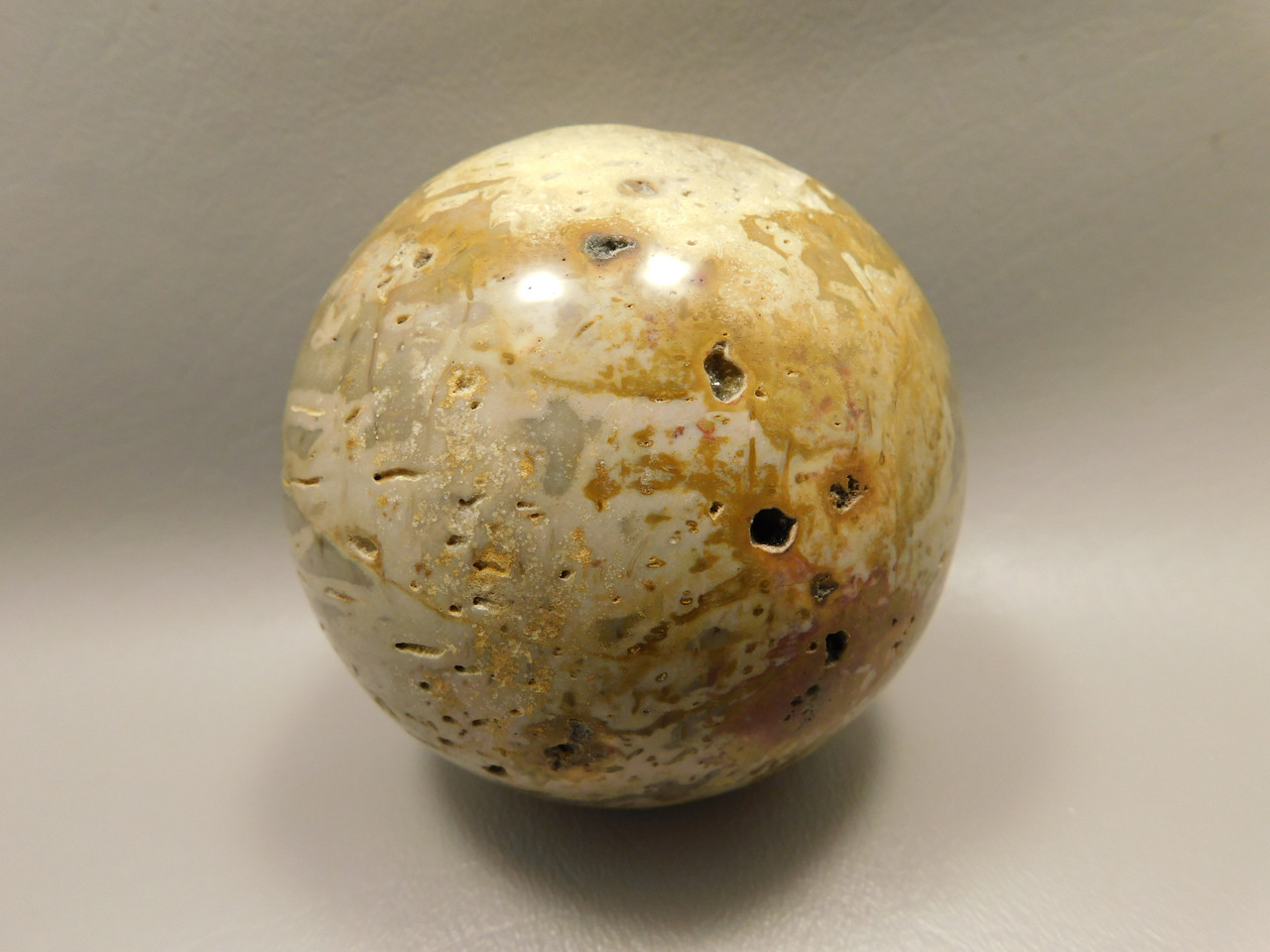 Petrified Palm Wood Sphere 3.15 inch Fossil Indonesia #O21