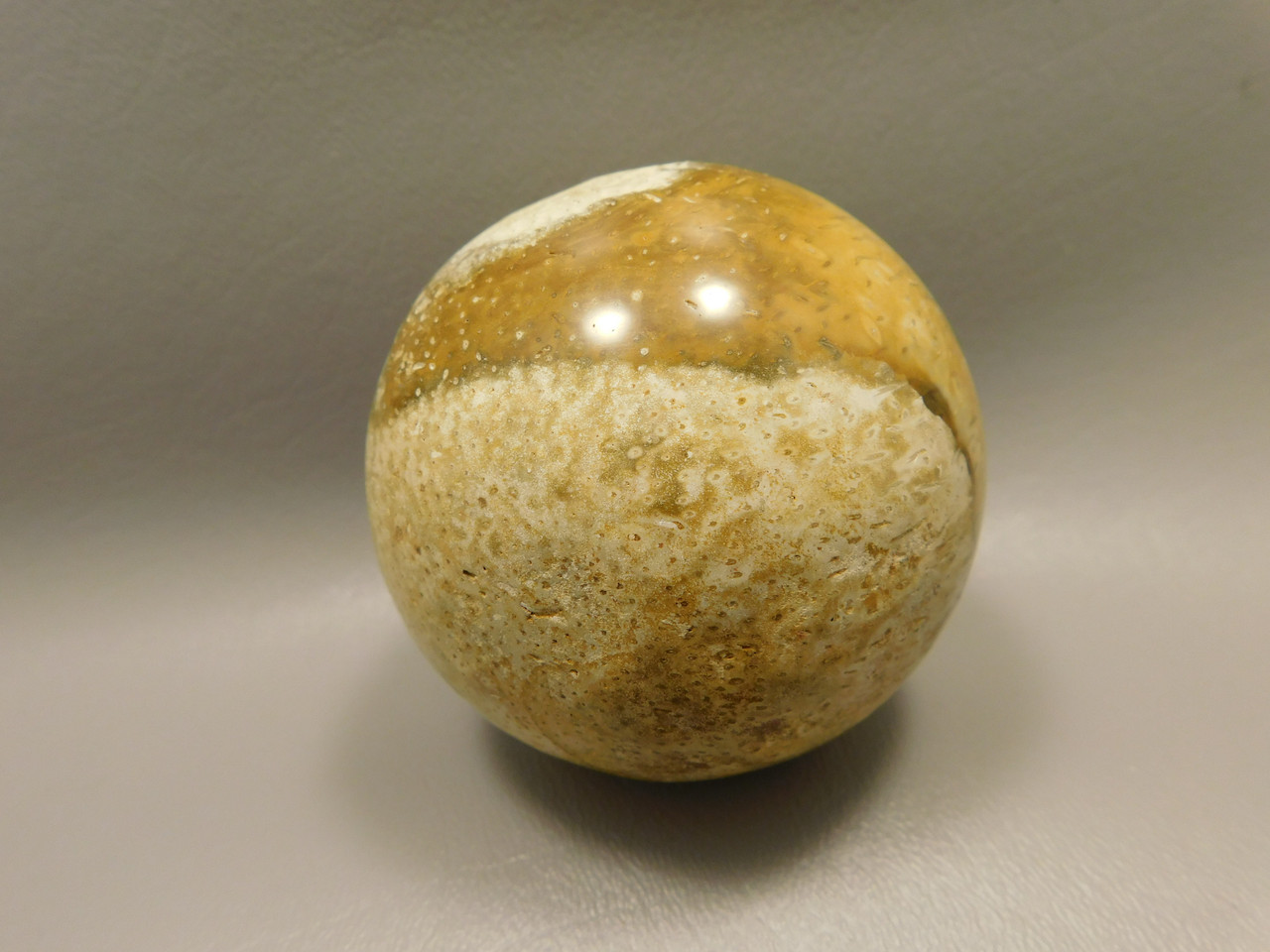 Petrified Palm Wood Root Ball 2.75 inch Sphere Fossil Indonesia #O22