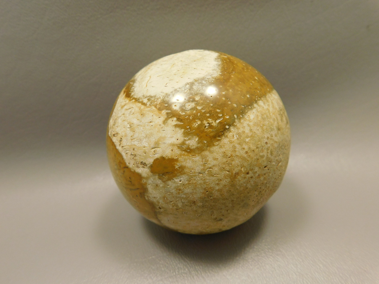 Petrified Palm Wood Root Ball 2.75 inch Sphere Fossil Indonesia #O22