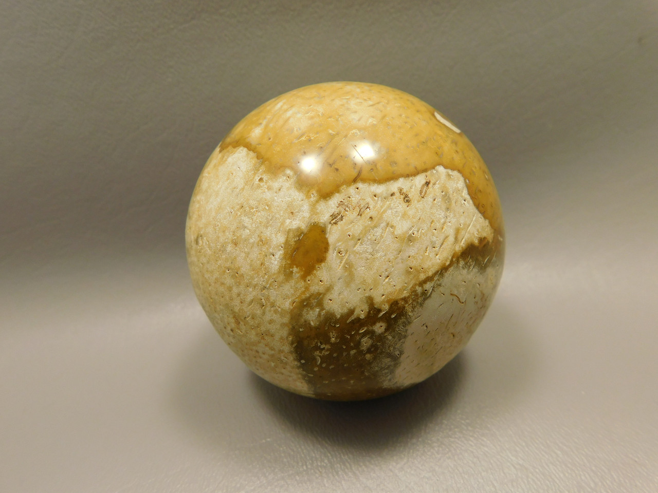 Petrified Palm Wood Root Ball 2.75 inch Sphere Fossil Indonesia #O22