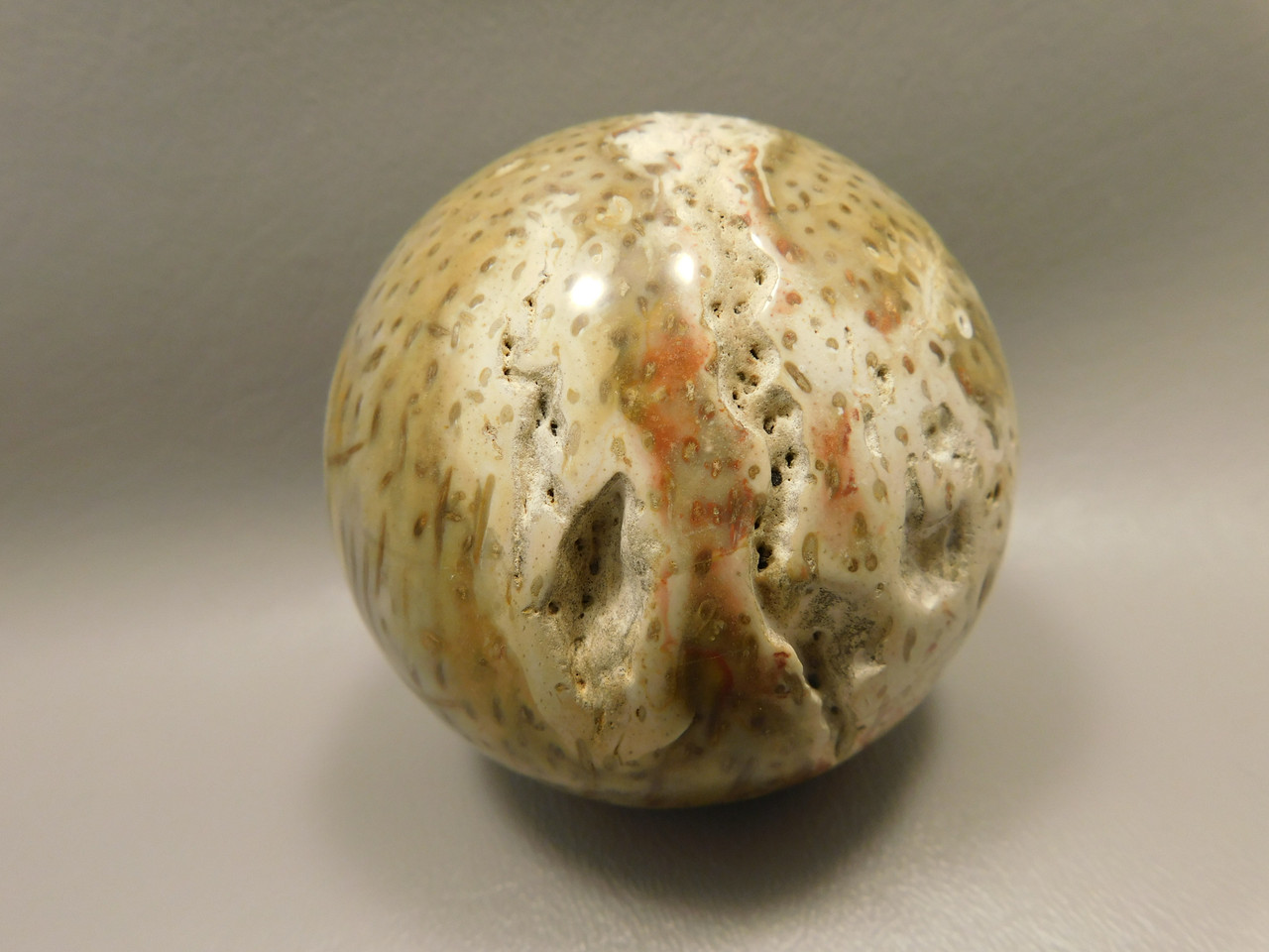 Petrified Palm Wood 2.75 inch Sphere Fossil Indonesia #O23
