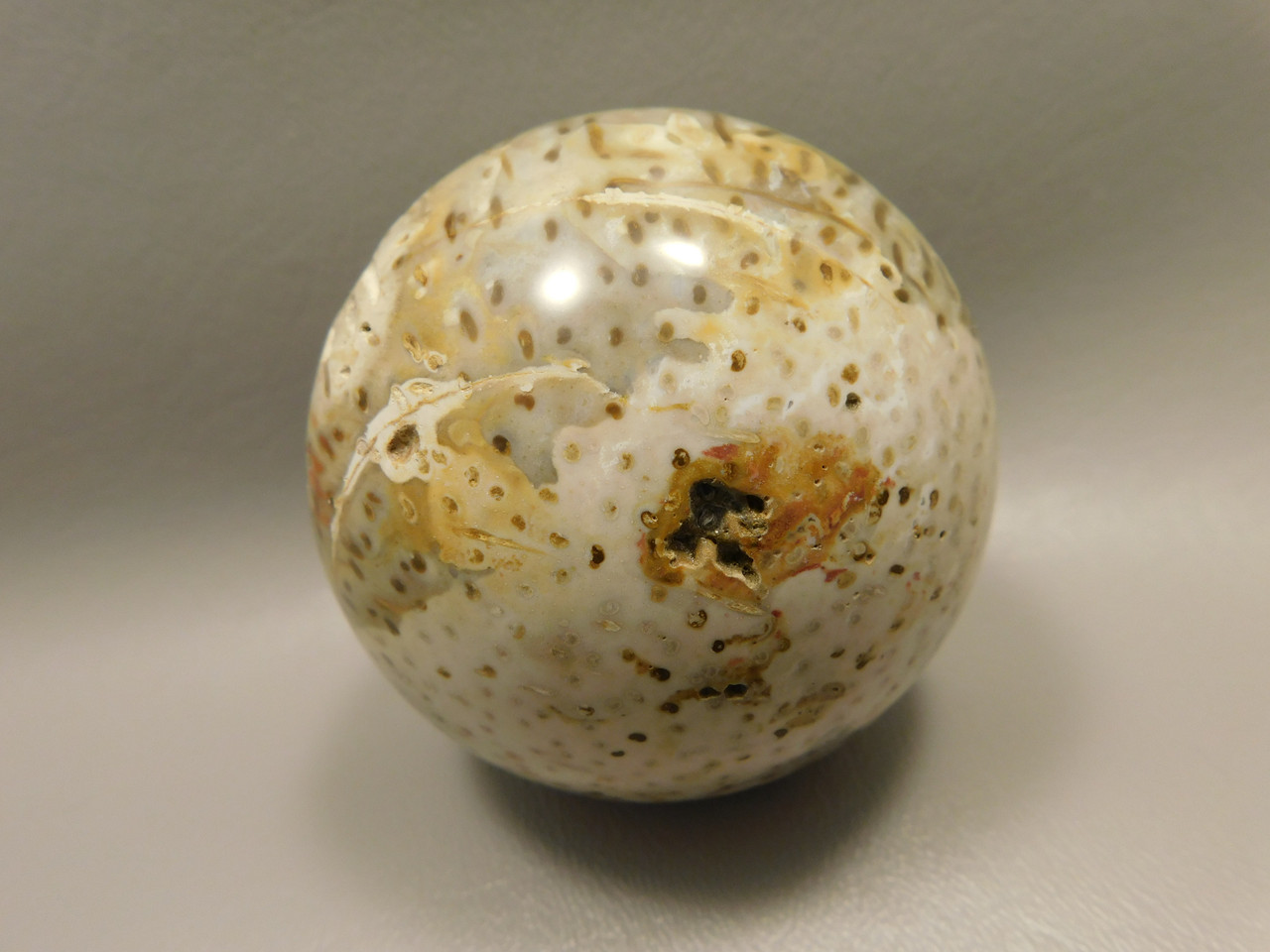 Petrified Palm Wood 2.75 inch Sphere Fossil Indonesia #O23
