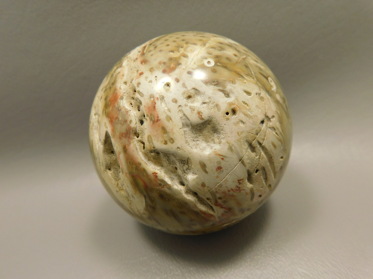 Petrified Palm Wood 2.75 inch Sphere Fossil Indonesia #O23