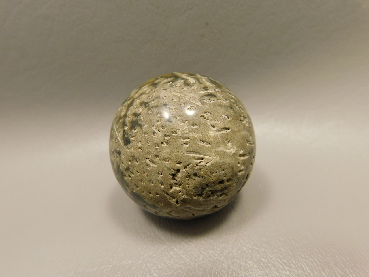 Petrified Palm Wood Sphere 1.6 inch Stone 40 mm Indonesia #O31