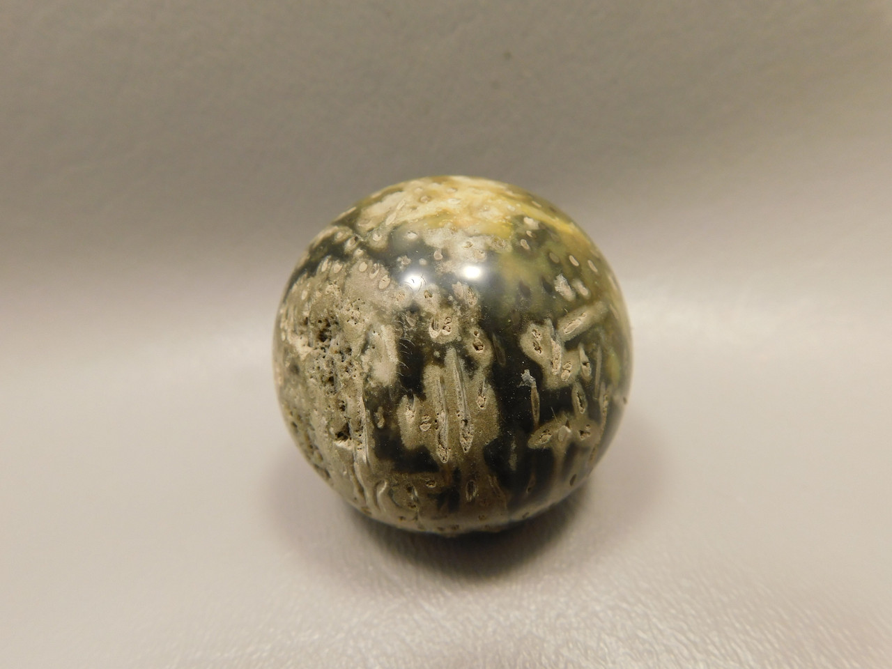 Petrified Palm Wood Sphere 1.6 inch Stone 40 mm Indonesia #O31