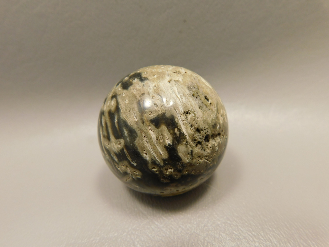 Petrified Palm Wood Sphere 1.6 inch Stone 40 mm Indonesia #O31