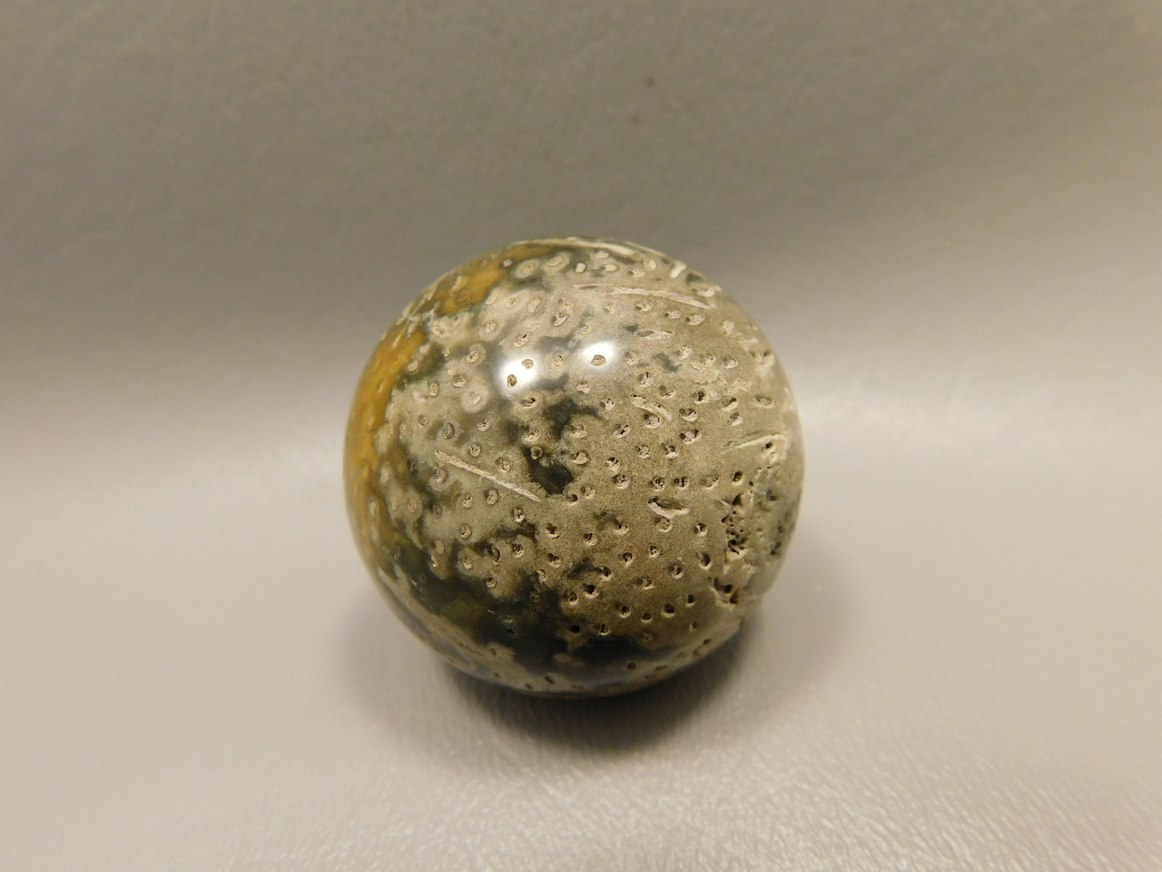 Petrified Palm Wood Sphere 1.6 inch Stone 40 mm Indonesia #O31