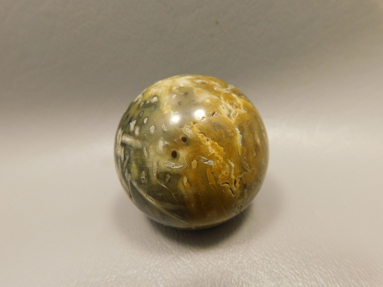 Petrified Palm Wood Sphere 1.6 inch Stone 40 mm Indonesia #O31
