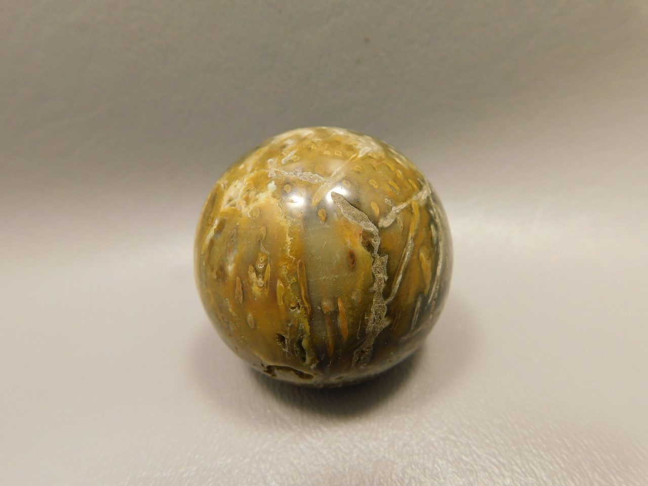 Petrified Palm Wood Sphere 1.6 inch Stone 40 mm Indonesia #O31