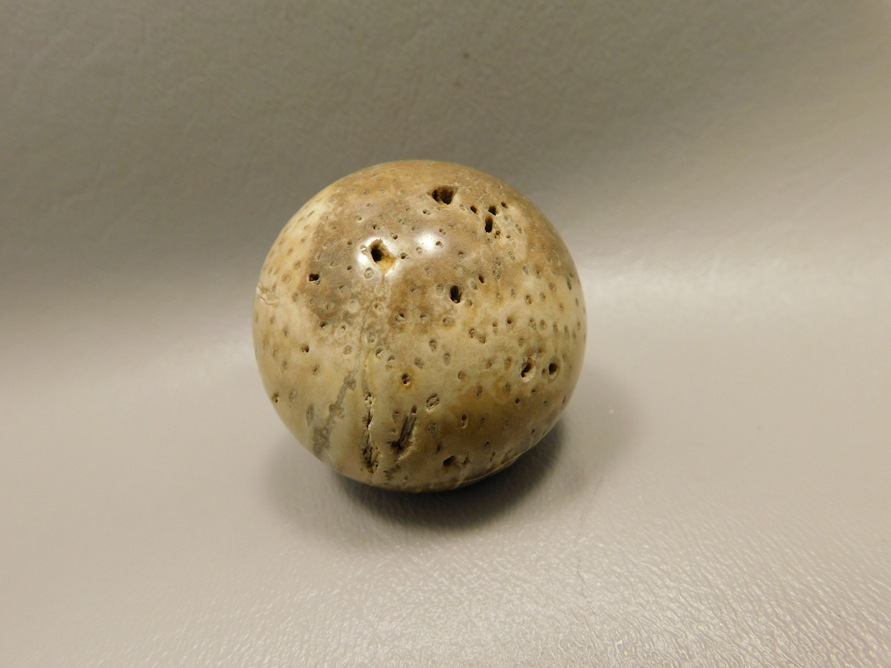 Petrified Palm Wood Sphere 1.6 inch Stone 40 mm Indonesia #O32
