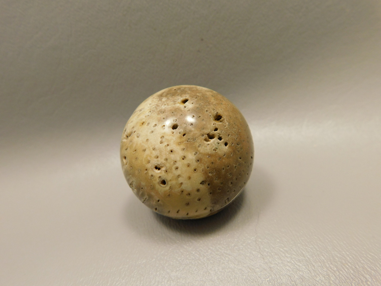 Petrified Palm Wood Sphere 1.6 inch Stone 40 mm Indonesia #O32