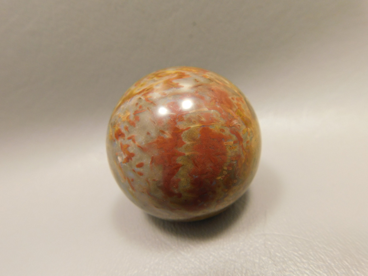 Petrified Palm Wood Sphere 1.6 inch Stone 40 mm Indonesia #O33