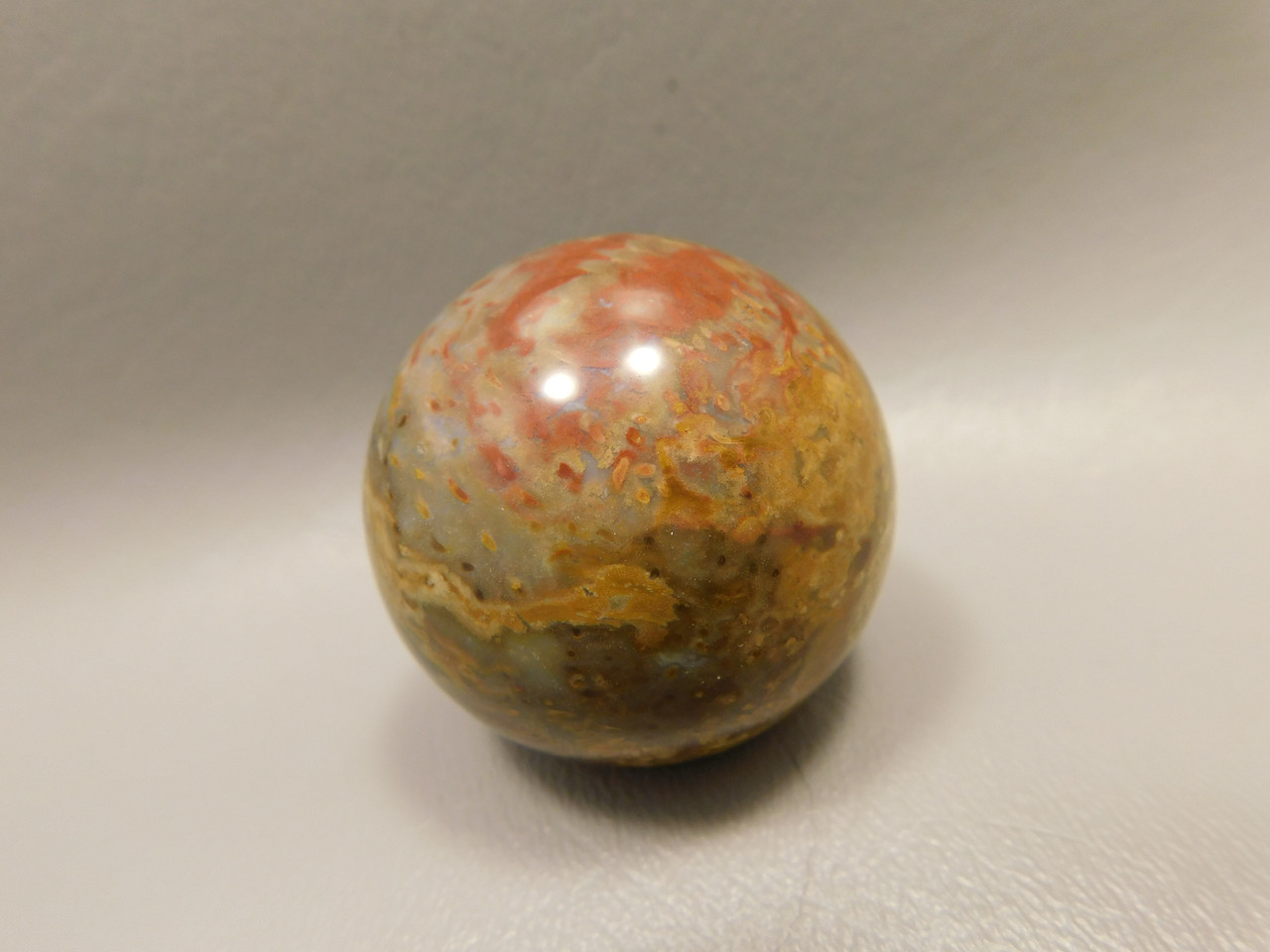 Petrified Palm Wood Sphere 1.6 inch Stone 40 mm Indonesia #O33