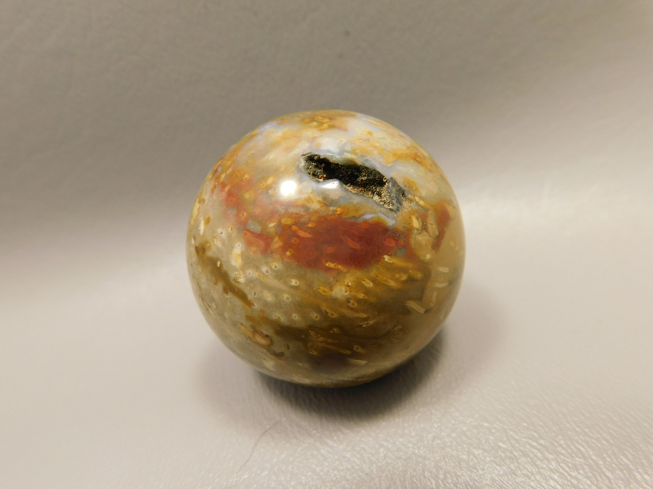 Petrified Palm Wood Sphere 1.6 inch Stone 40 mm Indonesia #O33