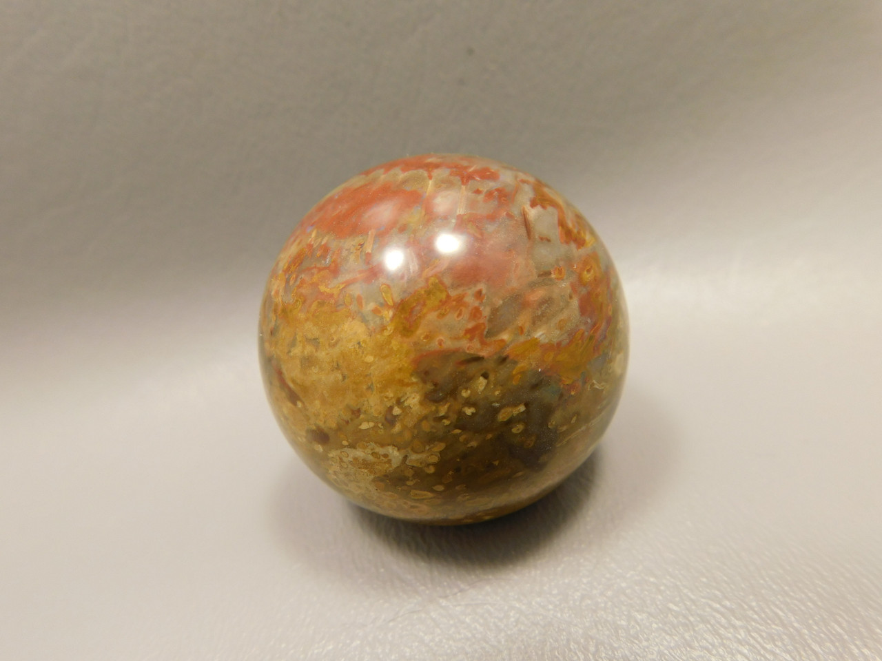 Petrified Palm Wood Sphere 1.6 inch Stone 40 mm Indonesia #O33