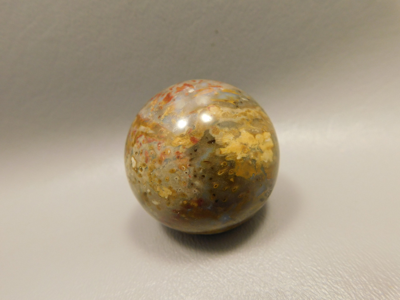 Petrified Palm Wood Sphere 1.6 inch Stone 40 mm Indonesia #O33
