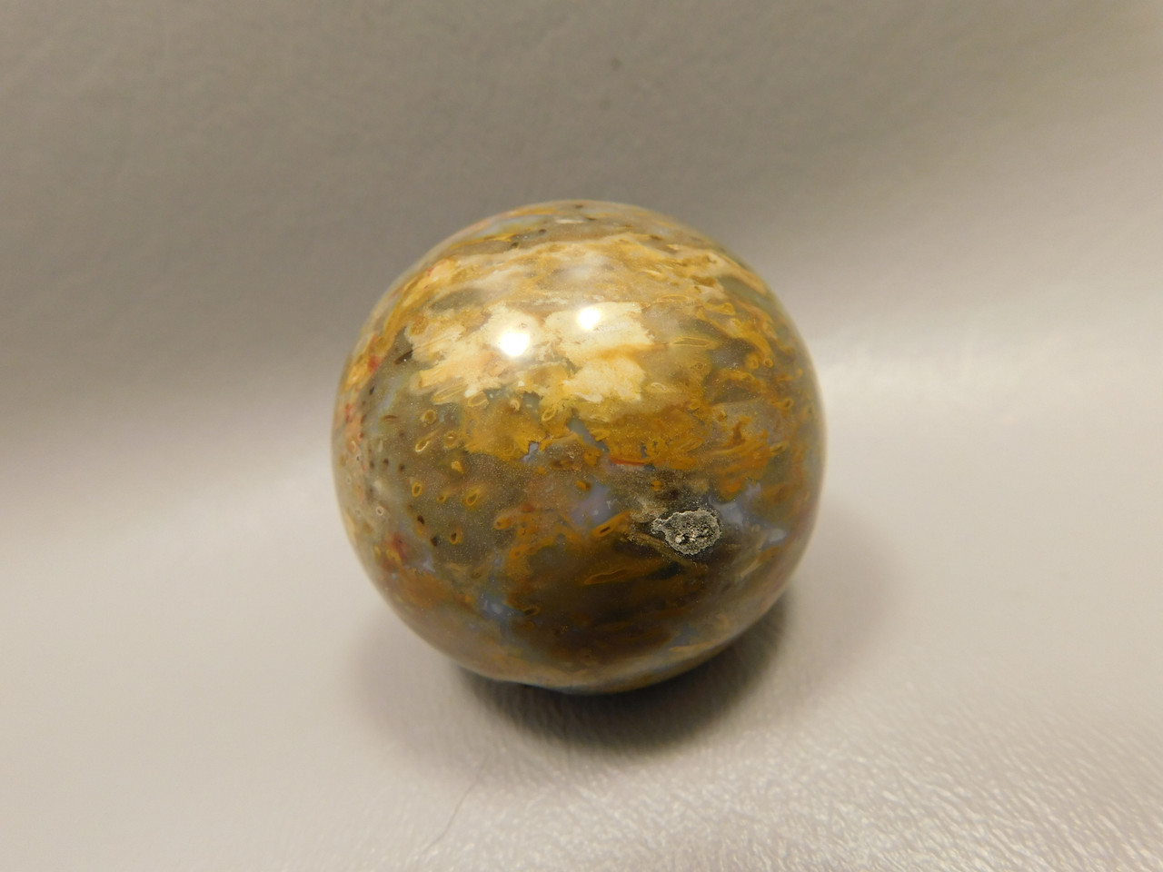 Petrified Palm Wood Sphere 1.6 inch Stone 40 mm Indonesia #O33