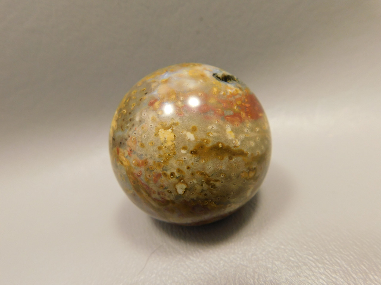Petrified Palm Wood Sphere 1.6 inch Stone 40 mm Indonesia #O33