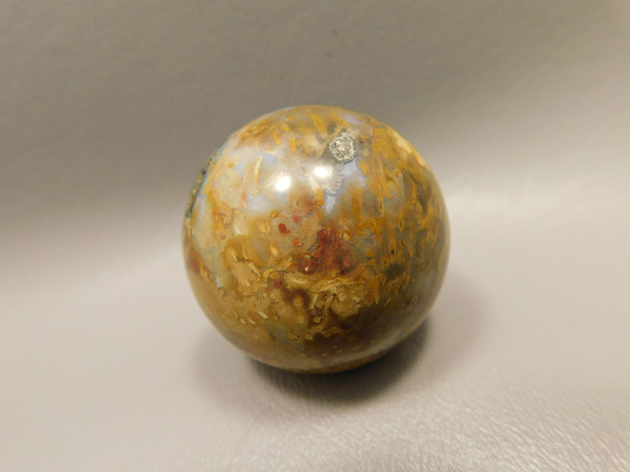 Petrified Palm Wood Sphere 1.6 inch Stone 40 mm Indonesia #O33