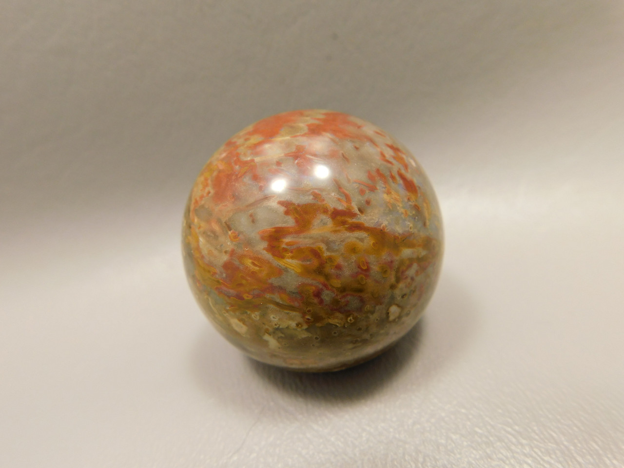 Petrified Palm Wood Sphere 1.6 inch Stone 40 mm Indonesia #O33