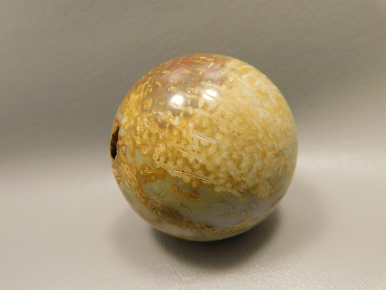 Petrified Palm Wood Sphere 2.4 inch Stone Indonesia #O24