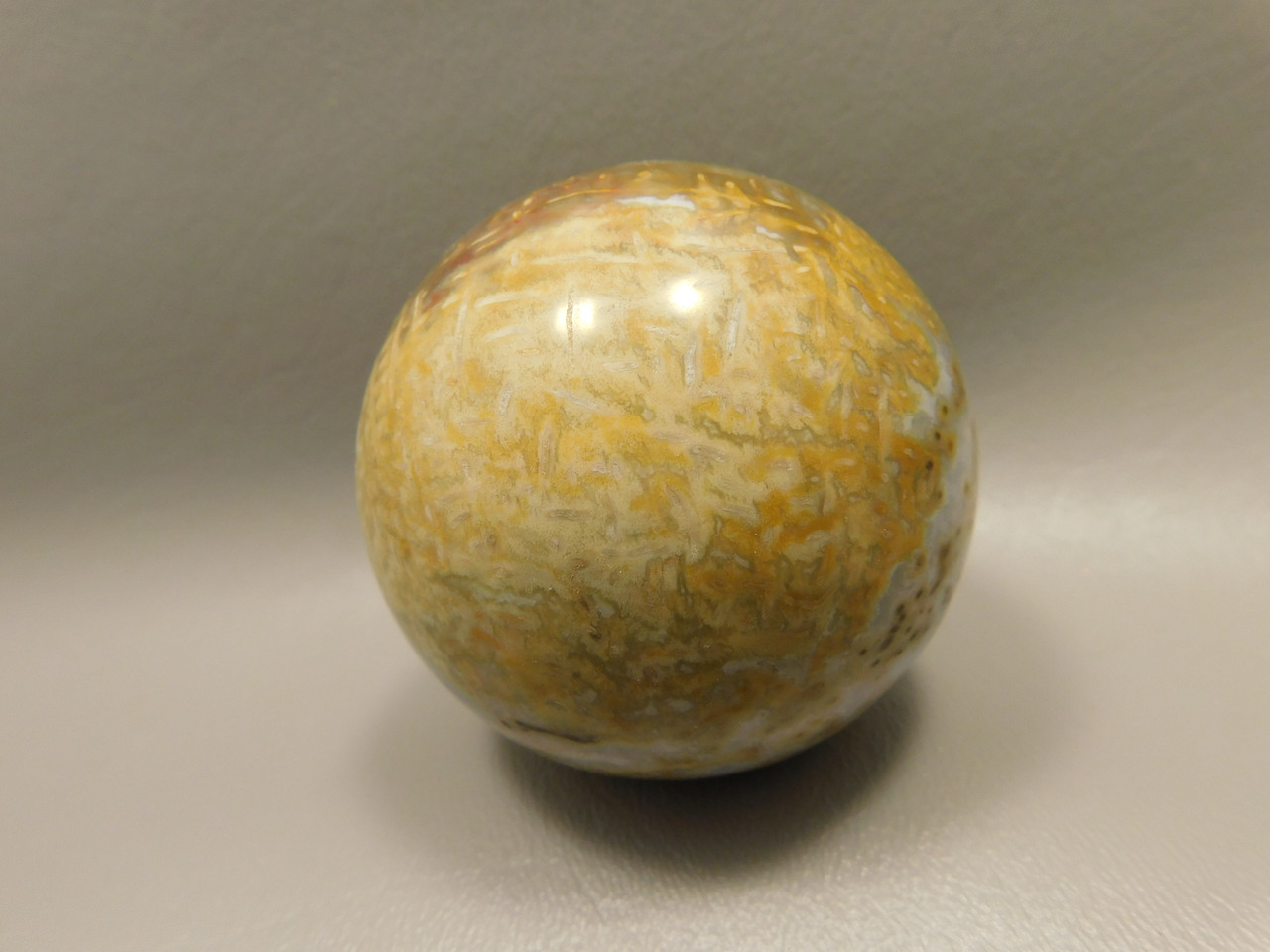 Petrified Palm Wood Sphere 2.4 inch Stone Indonesia #O24