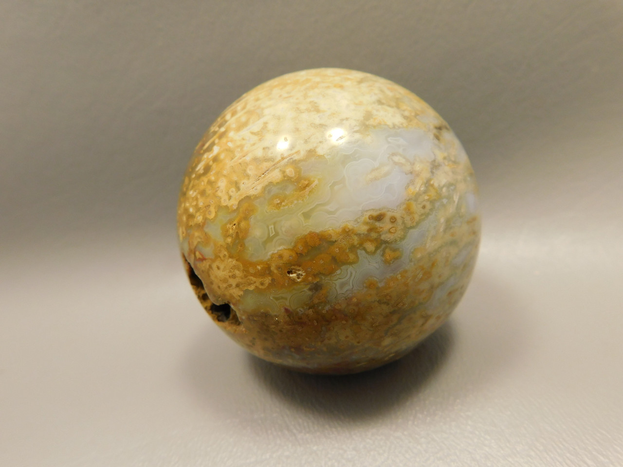 Petrified Palm Wood Sphere 2.4 inch Stone Indonesia #O24