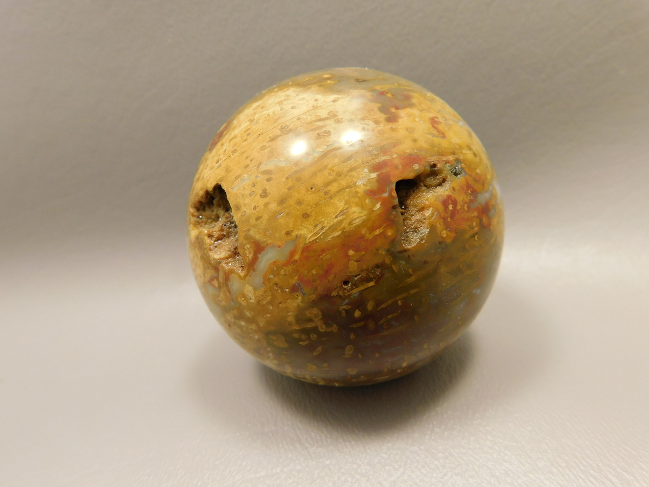 Petrified Palm Wood Sphere 2.4 inch Stone Indonesia #O24