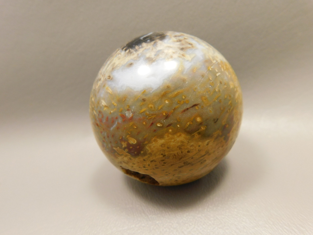 Petrified Palm Wood Sphere 2.4 inch Stone Indonesia #O24