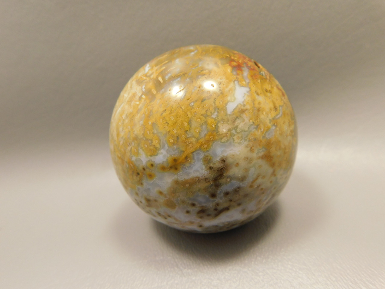 Petrified Palm Wood Sphere 2.4 inch Stone Indonesia #O24