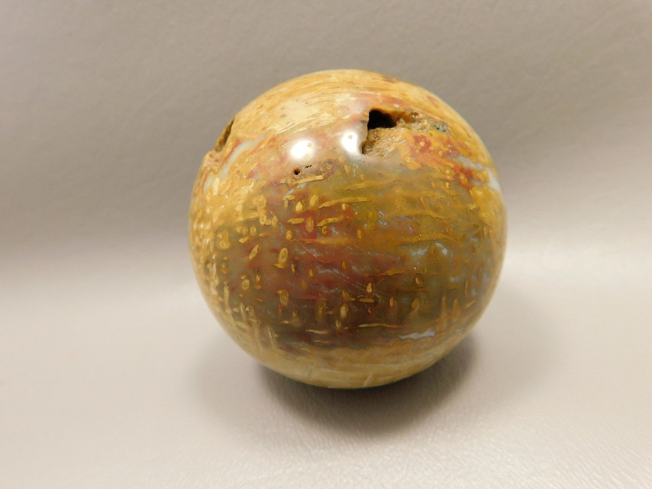 Petrified Palm Wood Sphere 2.4 inch Stone Indonesia #O24