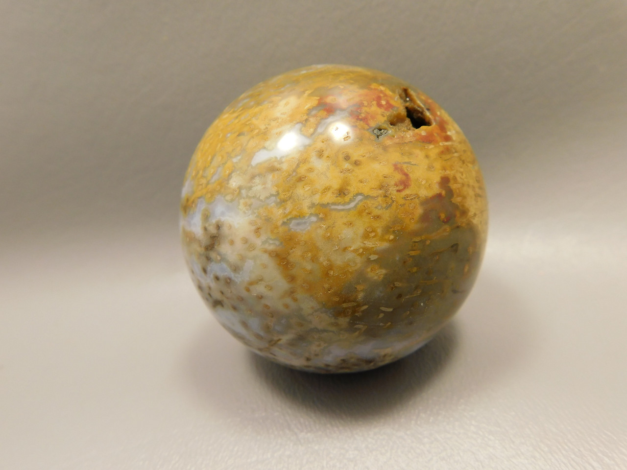 Petrified Palm Wood Sphere 2.4 inch Stone Indonesia #O24