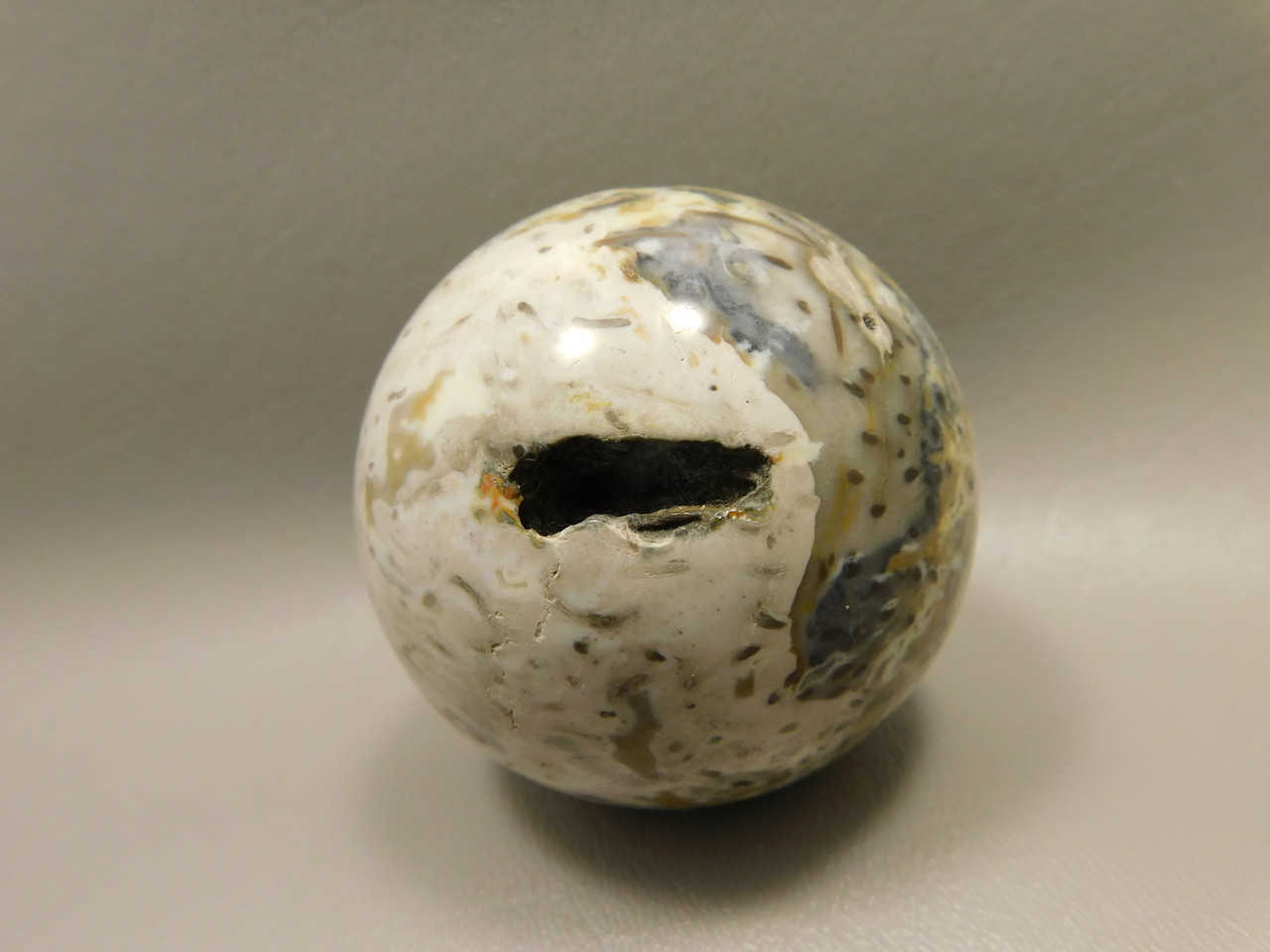 Petrified Palm Wood Sphere 2.4 inch Stone Fossil Indonesia #O25