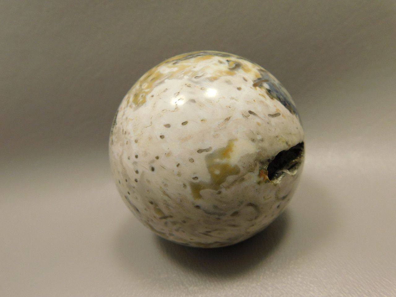 Petrified Palm Wood Sphere 2.4 inch Stone Fossil Indonesia #O25