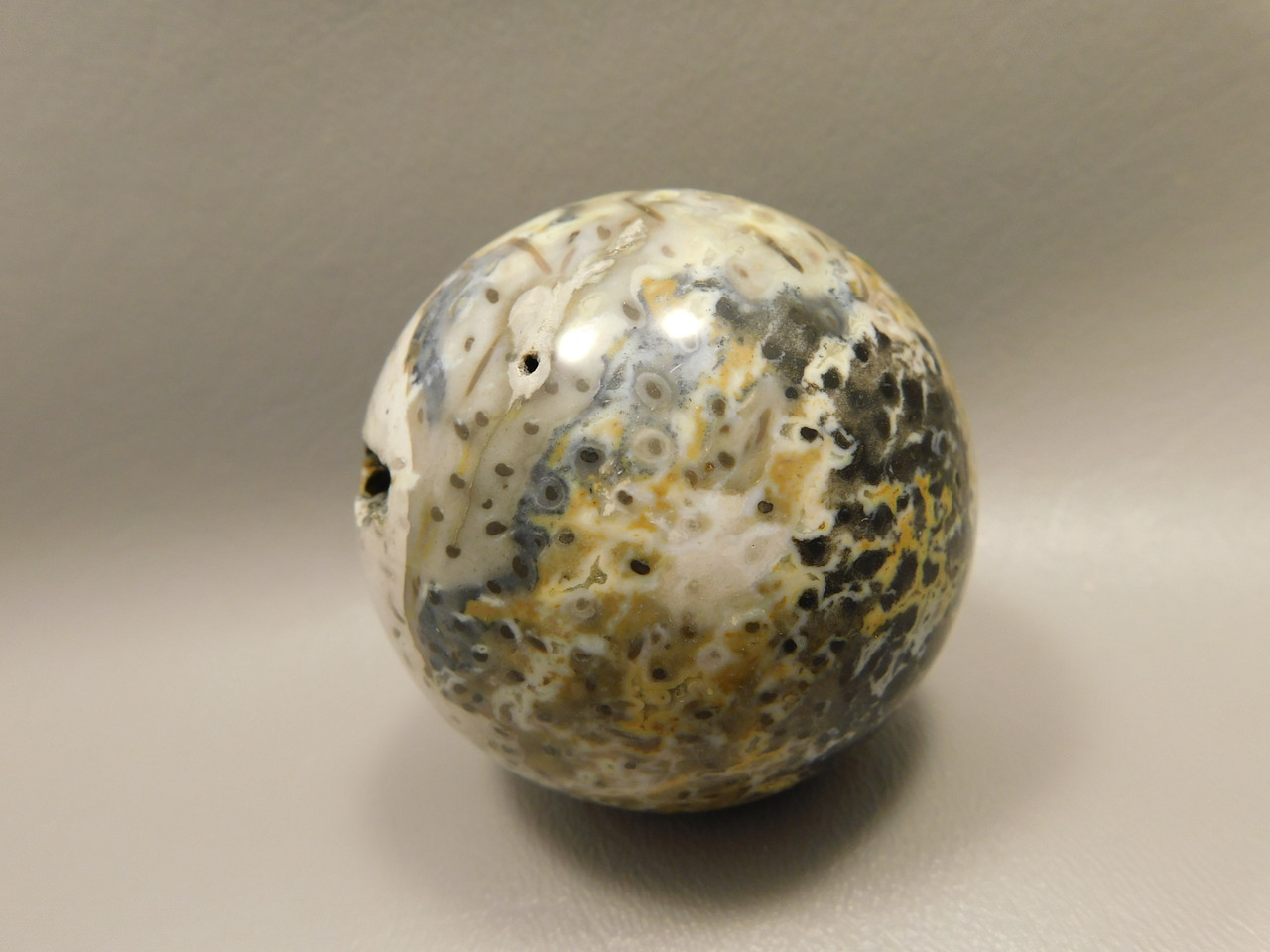 Petrified Palm Wood Sphere 2.4 inch Stone Fossil Indonesia #O25