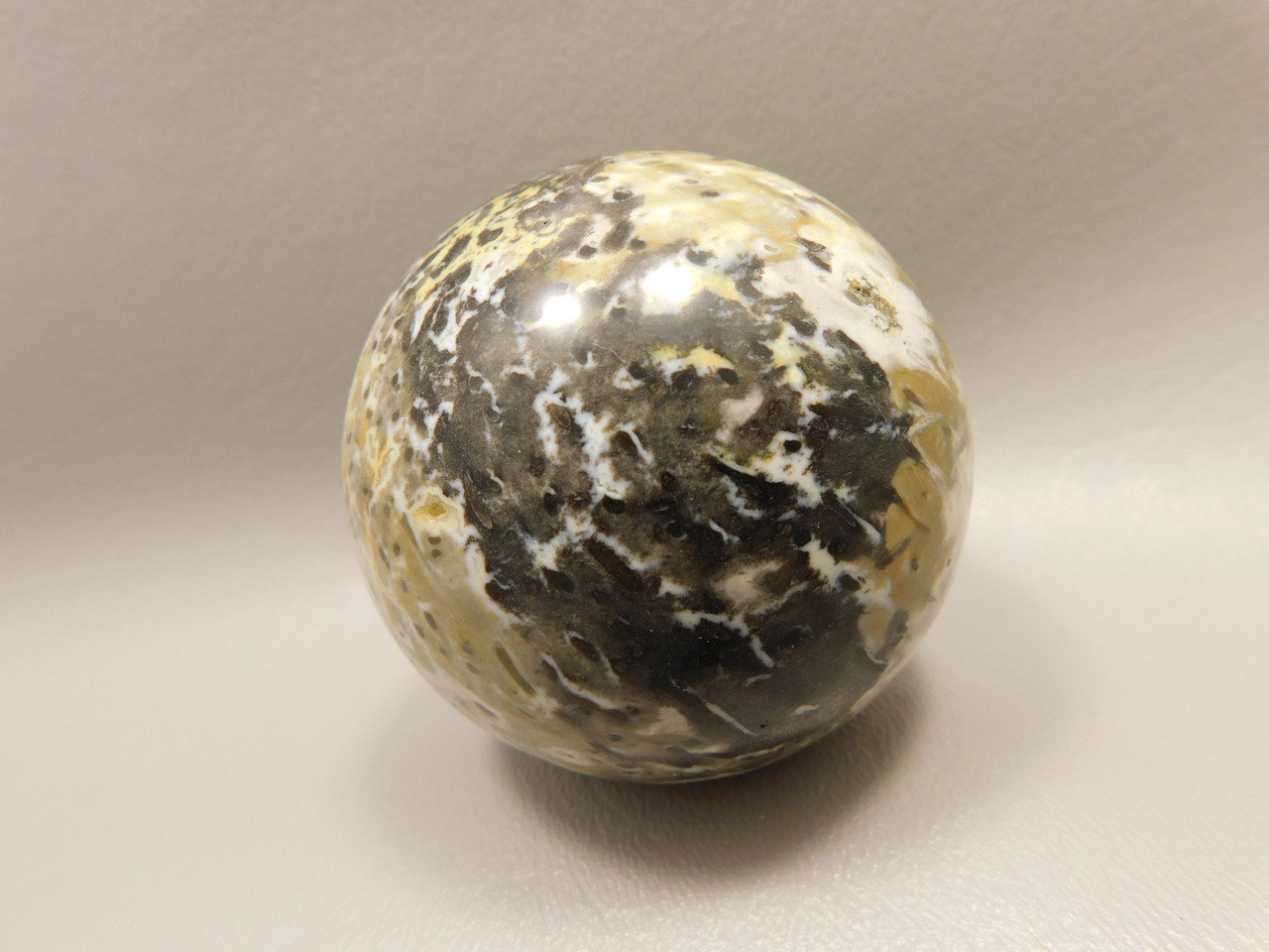 Petrified Palm Wood Sphere 2.4 inch Stone Fossil Indonesia #O25