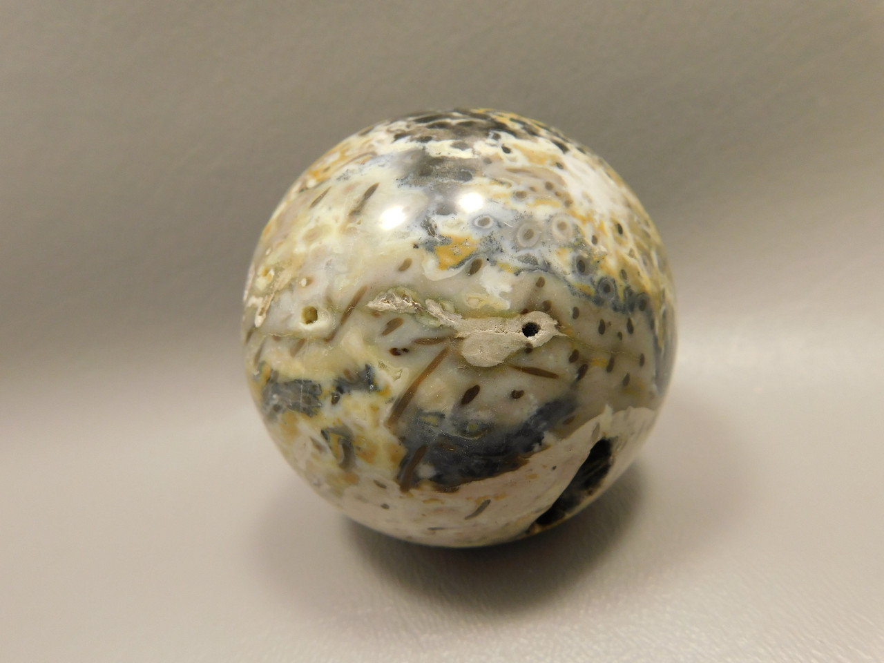 Petrified Palm Wood Sphere 2.4 inch Stone Fossil Indonesia #O25
