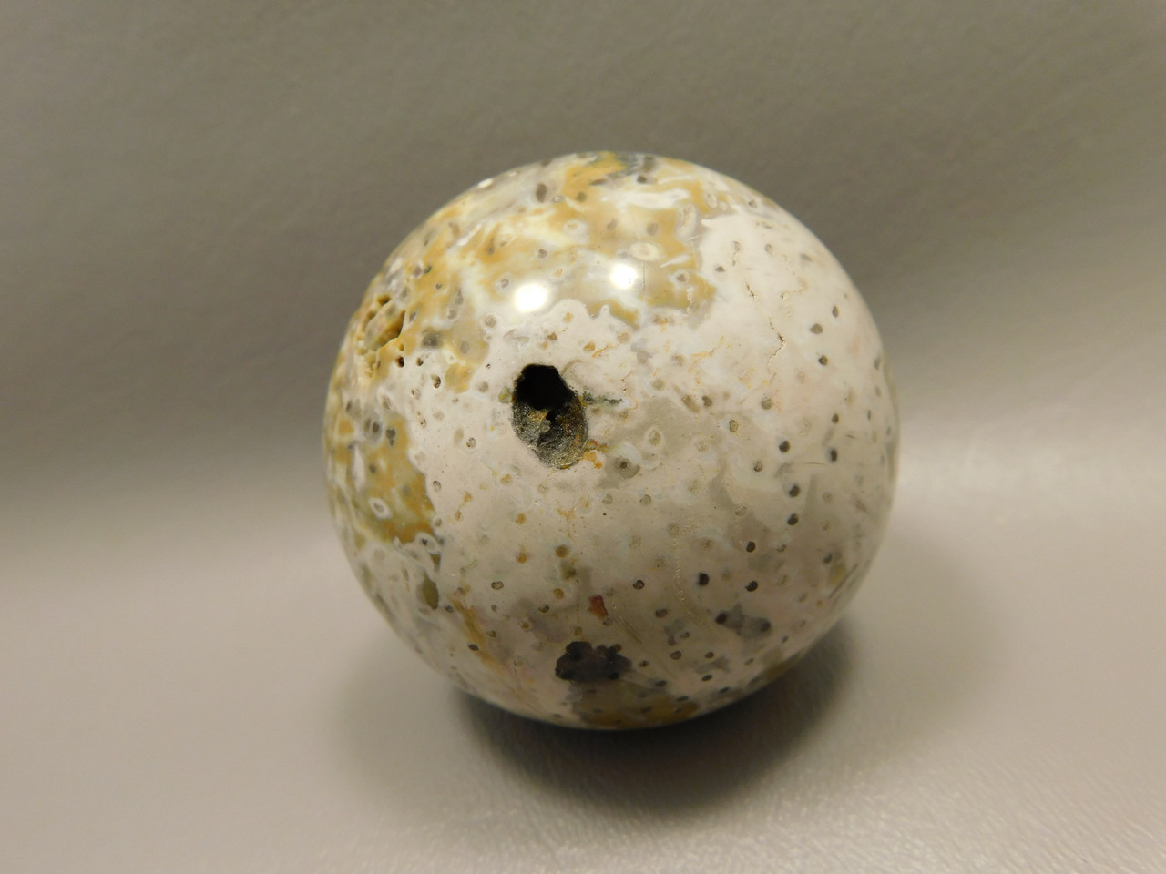 Petrified Palm Wood Sphere 2.4 inch Stone Fossil Indonesia #O25