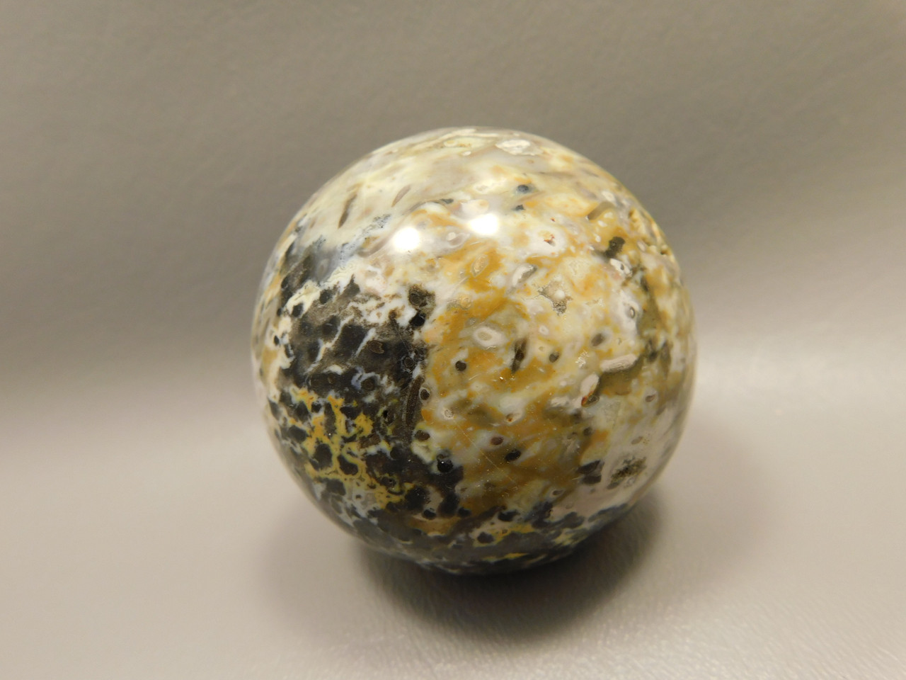 Petrified Palm Wood Sphere 2.4 inch Stone Fossil Indonesia #O25