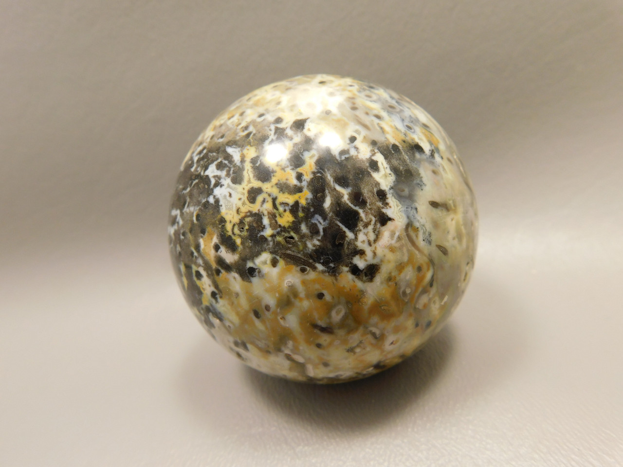 Petrified Palm Wood Sphere 2.4 inch Stone Fossil Indonesia #O25