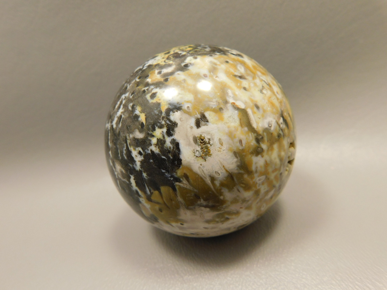 Petrified Palm Wood Sphere 2.4 inch Stone Fossil Indonesia #O25