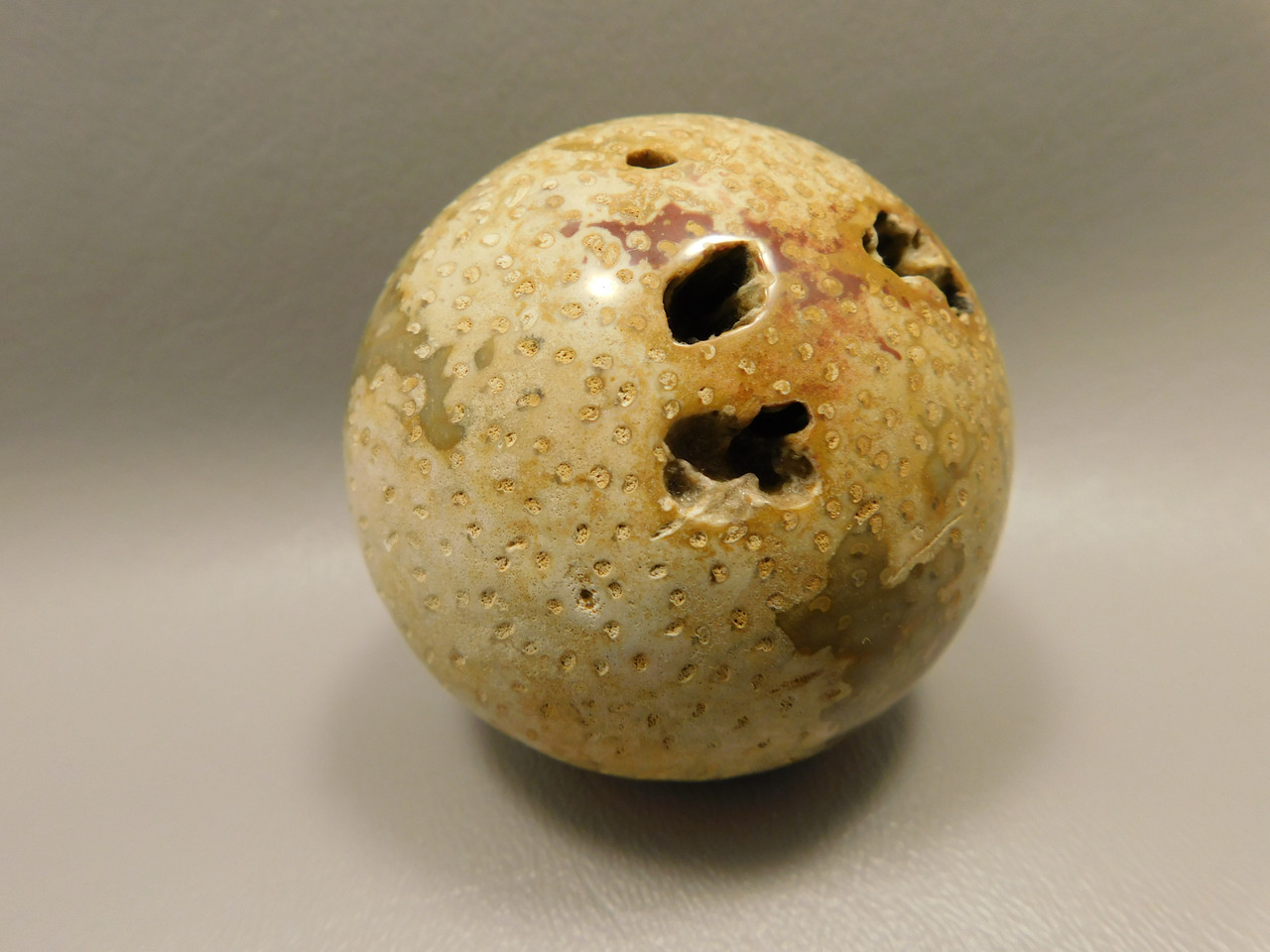 Petrified Palm Wood Sphere 2.4 inch Stone Fossil Indonesia #O26