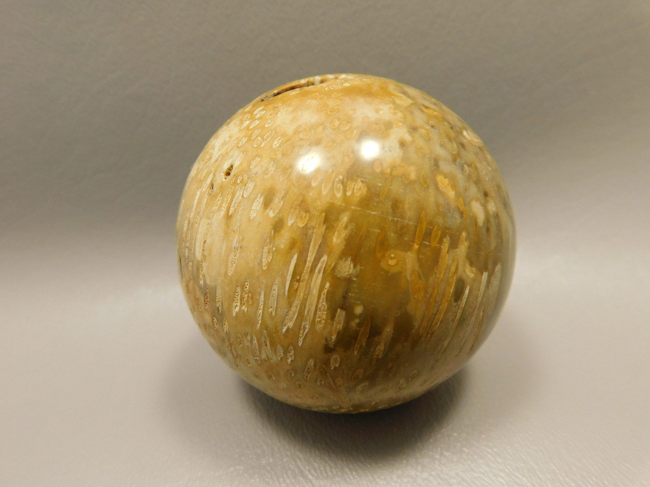 Petrified Palm Wood Sphere 2.4 inch Stone Fossil Indonesia #O26