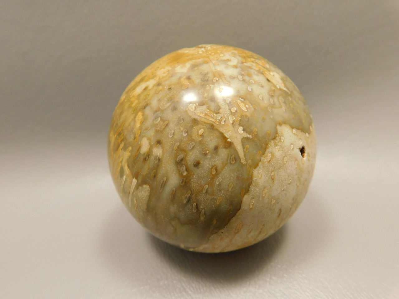 Petrified Palm Wood Sphere 2.4 inch Stone Fossil Indonesia #O26