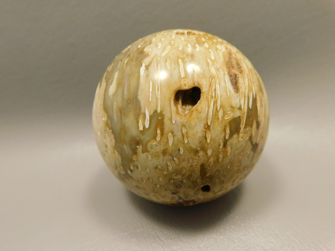 Petrified Palm Wood Sphere 2.4 inch Stone Fossil Indonesia #O26